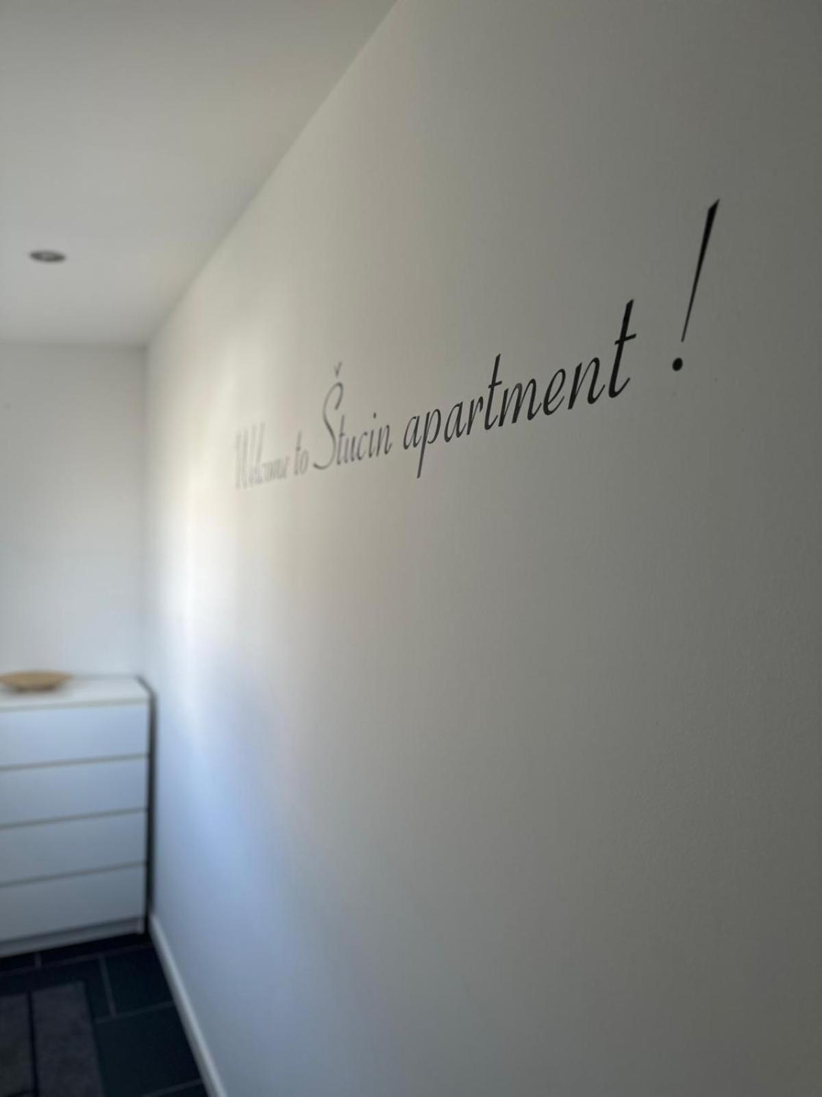 Apartment Stucin Vipava Bagian luar foto